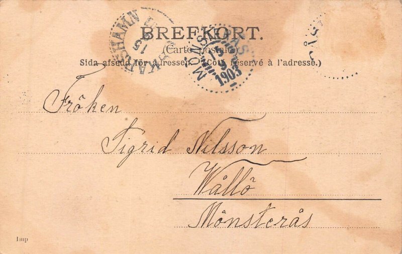 SWEDEN~FISKEBY PAPPERSBRUK-PAPER MILL~1903 PHOTO  POSTCARD