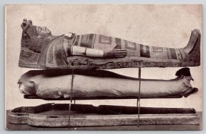 Egyptian Mummy Case Of Roman Period Museum Natural History Postcard C37