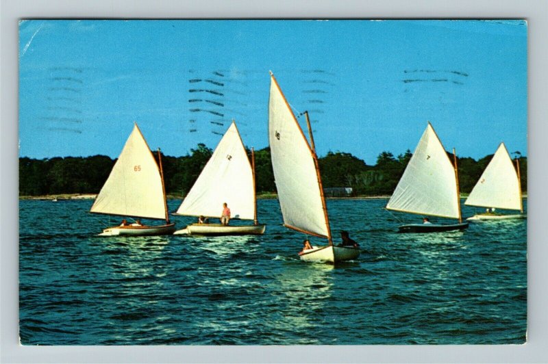 Long Island NY-New York, Sailing Paradise Chrome c1959 Postcard 