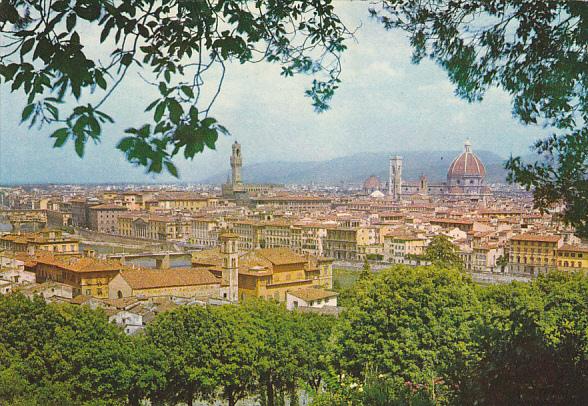 Italy Firenze Panorama