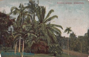 Postcard Botanical Gardens Singapore
