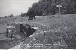 RP: Porcunie Mtis , State Park , Michigan , 30-40s ; Black Bear