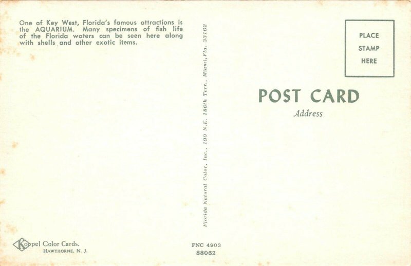 LPA61 Key West Florida Aquarium Postcard 