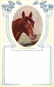 Ready and Willing Portrait of a Brown Horse Animal, Vintage Postcard c1910