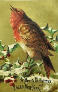 1880's-90's Embossed Christmas New Years Card Beautiful Wild Bird Holly Snow P94