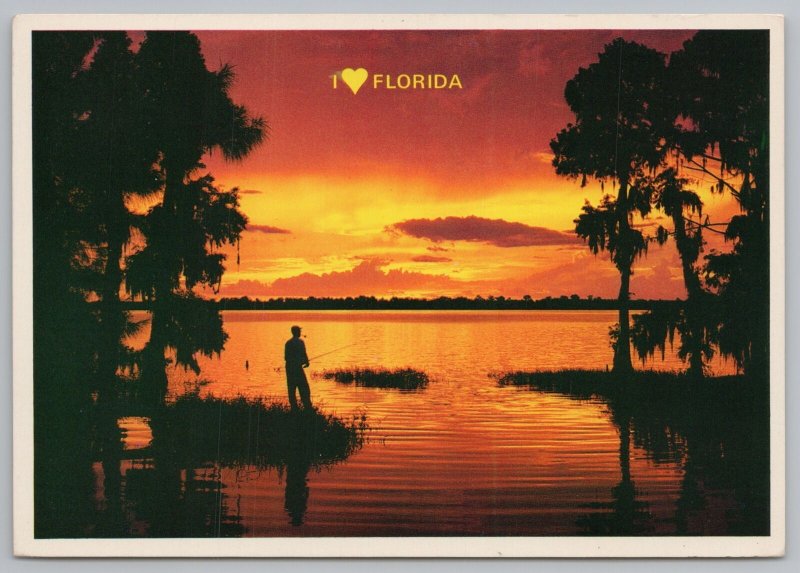 State View~Fisheran @ Lake At Sunset I Heart Florida~Continental Postcard 