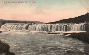 Vintage Postcard Dam Lake Ophelia Liberty In New York NY Handcolor P. C. Pub.