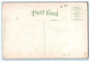 c1910 Cotton and Ribbon Sugar Cane Helena Arkansas AR Antique Postcard