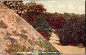 Shady Glen Oleson Park Fort Dodge IA Vintage Postcard F55