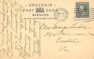 Oleander Trees Bermuda Postcard