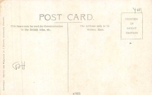 Easter Greetings Postcard