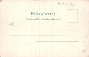 B71233 Fratlvidingso Norway