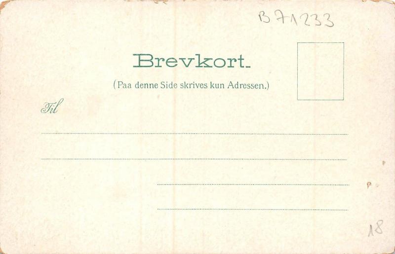 B71233 Fratlvidingso Norway