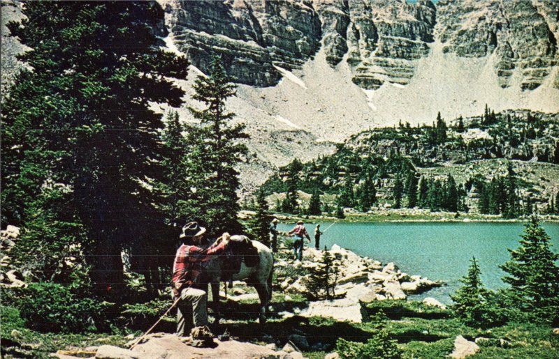 East Fork Bear River, Priord Lake, Wasatch National Forest,  Utah, WY Postcard