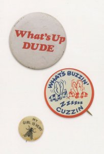 Whats Up Dude My Girl Is Very Fly Insect Victorian Button Badge Postcard