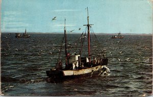Gulls Cape Cod Massachusetts MA Fishing Boat VTG Postcard PM Provincetown Cancel 