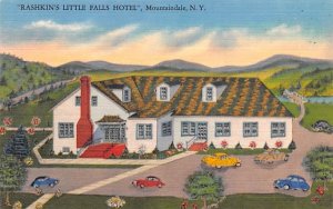 Rashkin's Little Falls Hotel Mountaindale, New York  