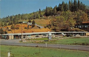 Placerville California 1960s Postcard Mother Lode Motel