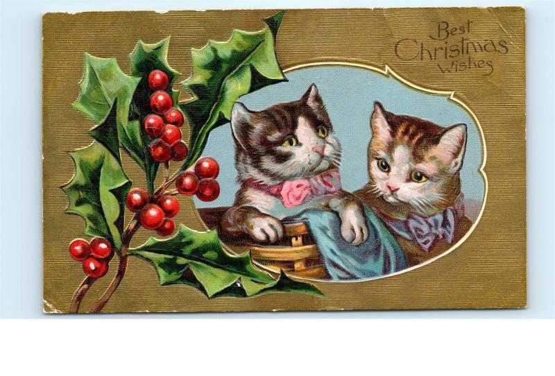 Christmas Wishes Xmas Cat Series Vintage Postcard Gold Holly Cats Bow Basket C70