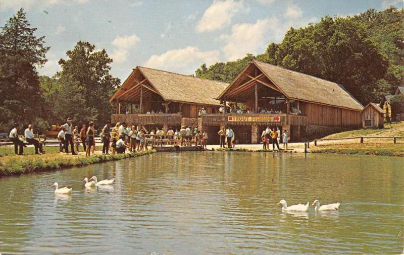 Harrison Arkansas Trout Fishing Bluff Spring Vintage Postcard K90904