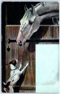 Postcard - Greeting Card with Horse and Dog Picture