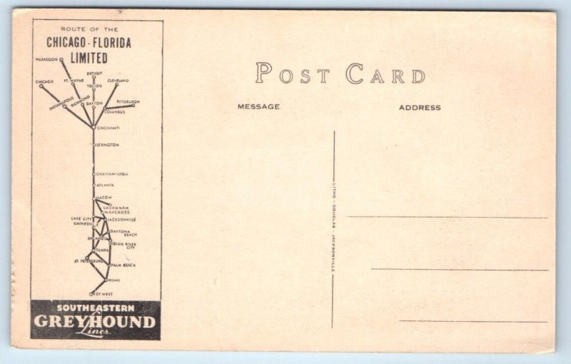 CHICAGO-FLORIDA LIMITED ~ Southeastern GREYHOUND BUS LINES c1940s Postcard