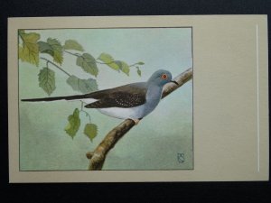 Bird Theme DIAMOND DOVE c1950s Postcard by P. Sluis Series 7 No.79