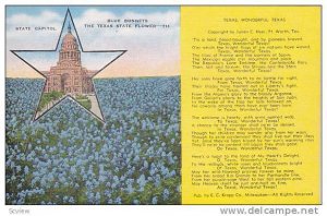 State Capitol, Blue Bonnets, The Texas State Flower, Texas, 1930-1940s