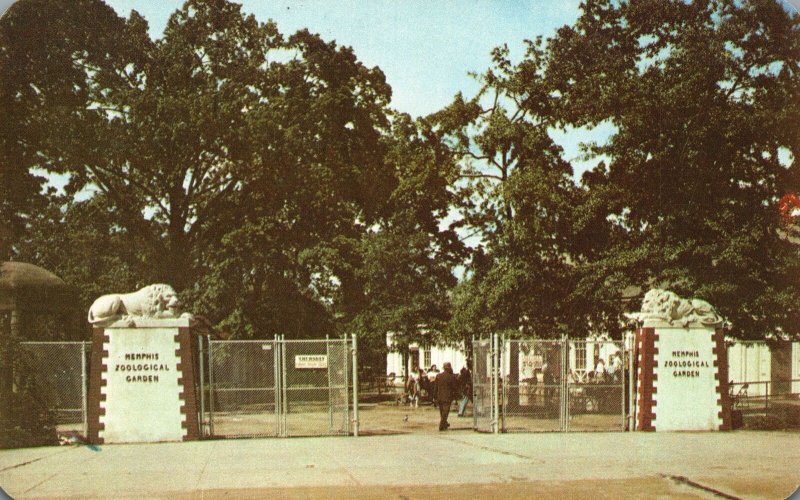 Vintage Postcard Entrance Zoological Gardens Overton Park Memphis Tennessee TN