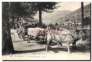 Postcard Old tow hitch Lourdes A peasant Boaufs