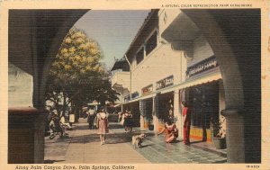 Willard Linen Postcard Along Palm Canyon Drive Palm Springs CA People Shopping