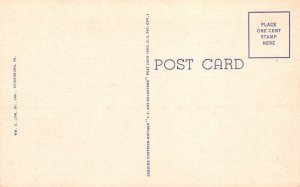 Vintage Postcard U. S. Post Office and Custom House Building Petersburg Virginia