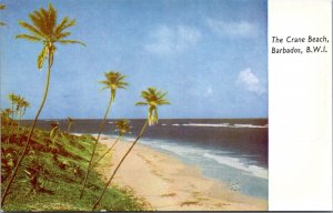 Postcard Barbados - The Crane Beach