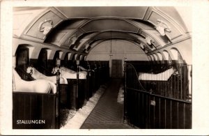 Horses In Their Stalls Spanish Riding School Vienna Austria Real Photo