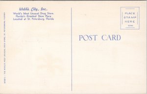Webb's City St. Petersburg FL Florida Drug Store Advert Vintage Postcard H19