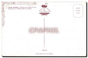 Postcard Old Crocodile Florida Alligators