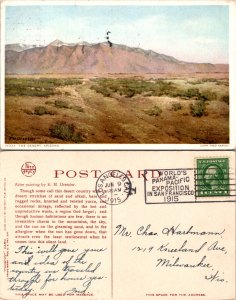 The Desert Arizona (15175