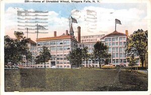 Home of Shredded Wheat Niagara Falls, New York Postcard