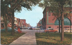 USA Cedar St Owatonna Minnesota Chrome Postcard 09.45