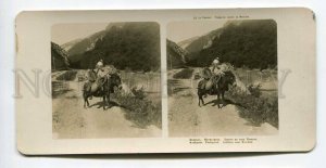 272104 RUSSIA Caucasus Pyatigorsk DONKEY Vintage STEREO PHOTO