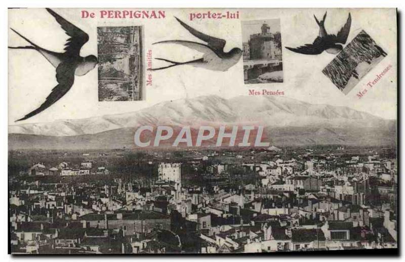 Old Postcard From Perpignan Bring Him