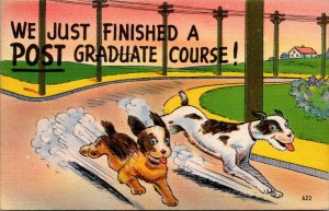 Humour Dogs Racing We Just Finished A Post Graduate Curse