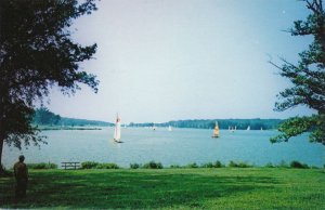 Sailboats on Pierce Lake - Rock Cut State Park near Rockford IL, Illinois