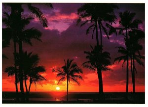 Sunset Over the Pacific Palm Tree Silhouettes Hawaii Postcard Posted 1982