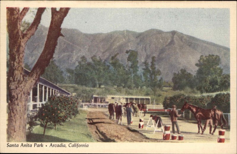 Arcadia California CA Santa Anita Park Stables Horse Racing Vintage Postcard