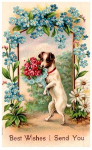 Dog , Sitting Up holding bouquet of flowers