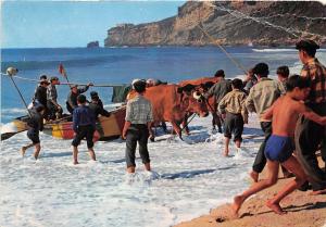 BR8444 Nazare La Traine des bateaux  portugal