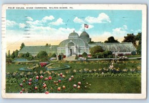 1928 Wilkes-Barre Pennsylvania PA Postcard Palm House River Commons Scenic View