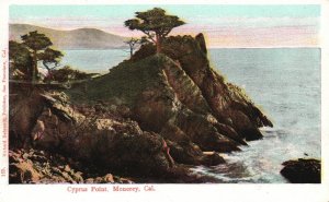Vintage Postcard Cyprus Monterey California Richard Behrendt Pub.
