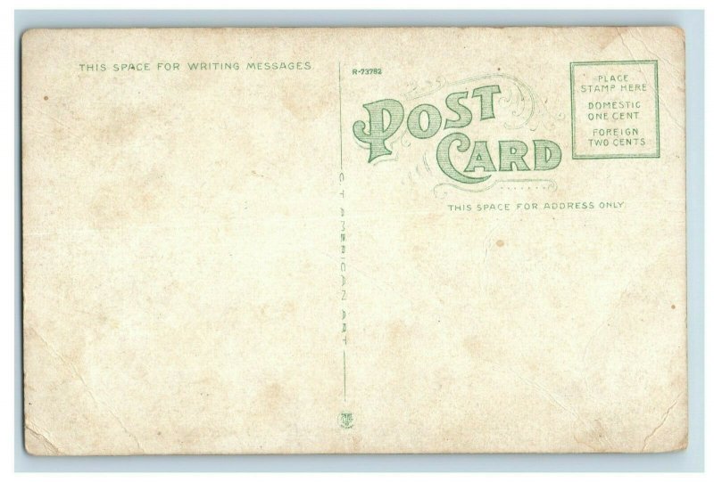 Circa 1910-20 Oak Ridge Hotel, Green Springs, Ohio Vintage Postcard P6